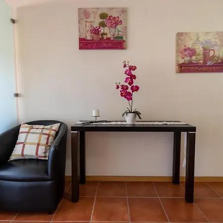 Ferienwohnung Casa Da Levada Termas de Sao Pedro do Sul Exterior foto