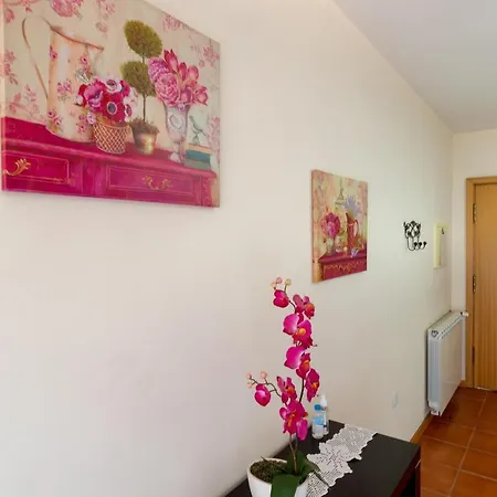 Ferienwohnung Casa Da Levada Termas de Sao Pedro do Sul Exterior foto